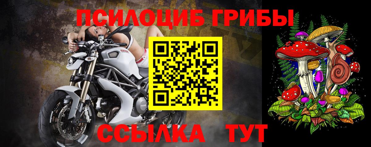 даркнет сайт  Псилоцибиновые грибы GOLDEN TEACHER  Вход с VPN  Галлюциногенные грибы GOLDEN TEACHER  Калининград 